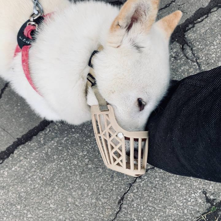 8d451875 d9c7 4b3f 8ceb abaa573f8865 1590613581543