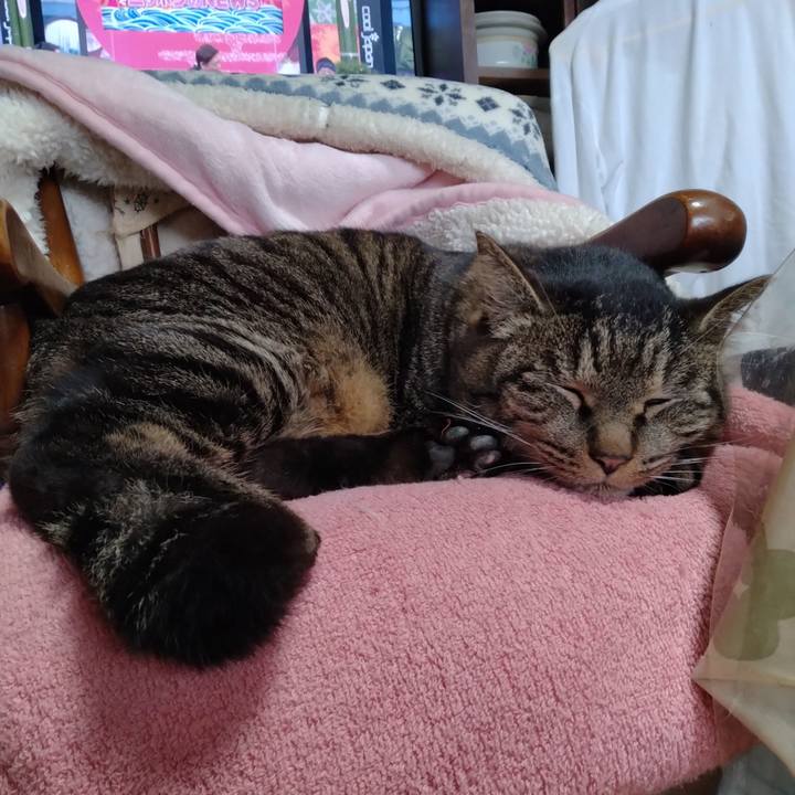 8d451ffa e10d 4070 a091 d846e2fa197a 1673148422752