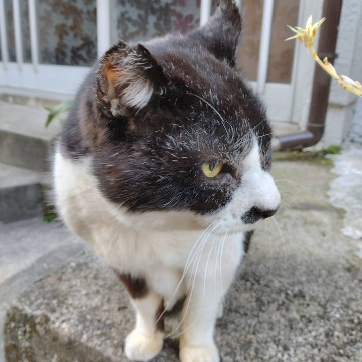 8d4533df e700 4408 b921 9dc46dd46d32 1707519294214