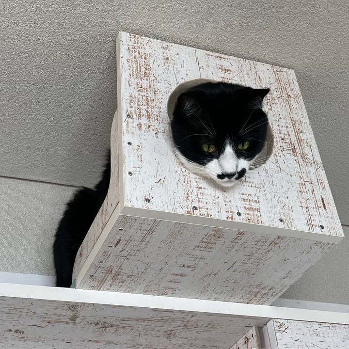 8d4536b7 1bec 40cc 905e 6e5fe84ae671 1653694776020