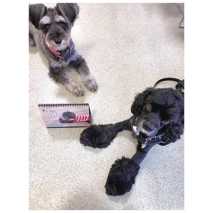 8d4538b7 da3c 437a 97cf 072124616dcc 1598961695930