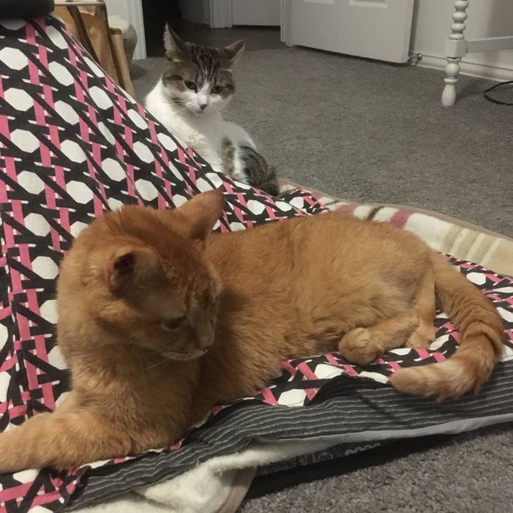 8d453f1e 9291 43bc b1f3 6b7f609d550e 1645501816361