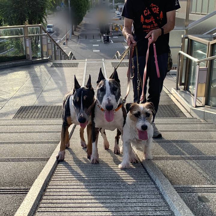 8d4541f5 b24d 4a8f 850b 8a7d63baec3e 1600246954205