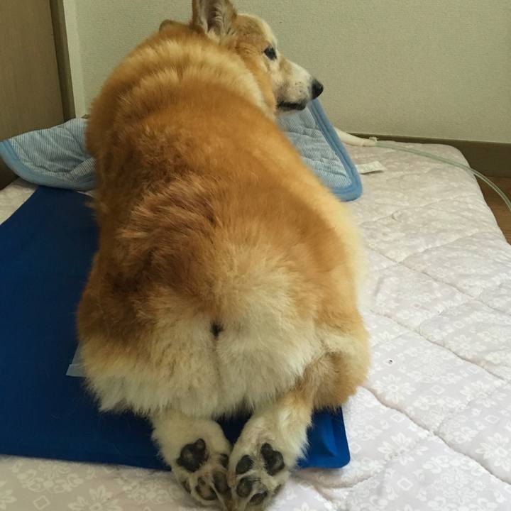 8d455468 fbaf 491f 8acc 9608dccf106b 1570197728869