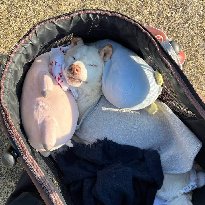 8d455f6e 7858 4fac 95fe 42d2efc48cf3 1672410998691