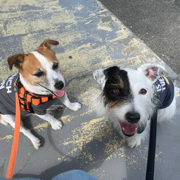 8d458c7d 071a 4119 bc4b f80cac543c5c 1633742691288