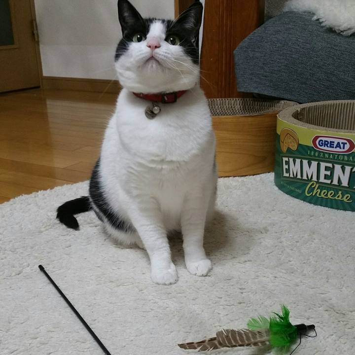 8d45ae0f 1e9f 4c40 a787 21b7ff14837f 1582587211296