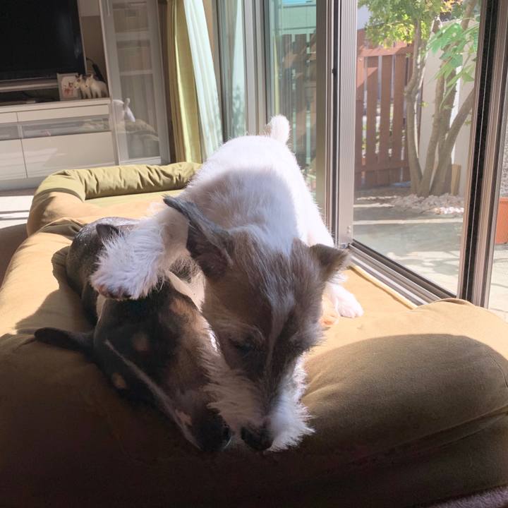 8d45e814 1e75 4842 aa13 96f6325544b8 1572583944018