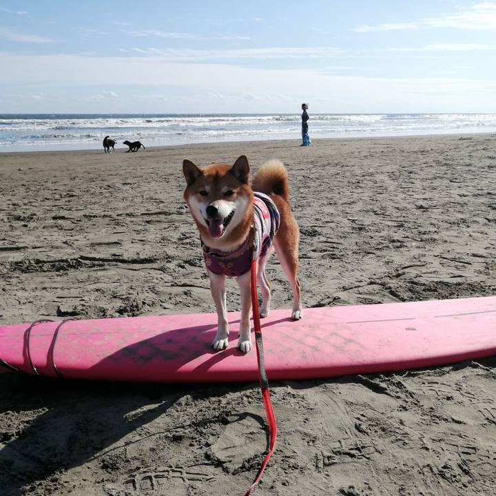 8d46022d ab26 47bb aa0a 3a5caa9f22d1 1635154069111