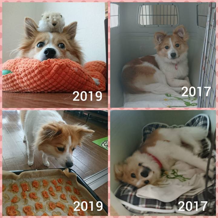 8d461bfd 039e 40f2 b4c4 5b3907138c92 1555847036017