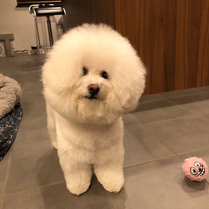 8d463fff 2b18 46e7 9db2 12819528684f 1517401216732