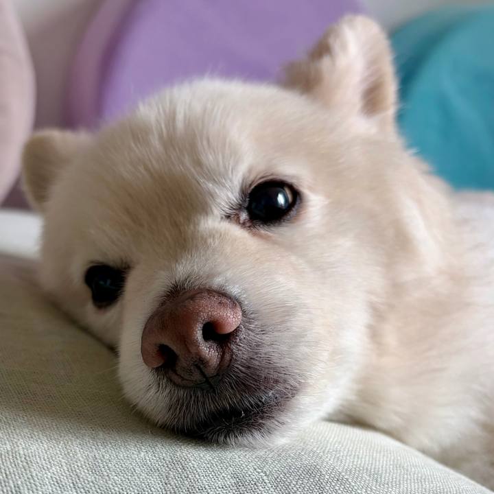 8d465357 4d58 4b68 b0a8 3a9ba2c3757c 1775390267959