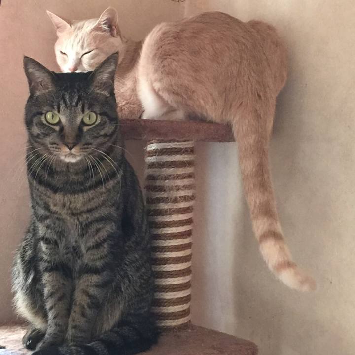 8d4655a2 42a7 4754 bf2c 40e730d08f11 1548682712703