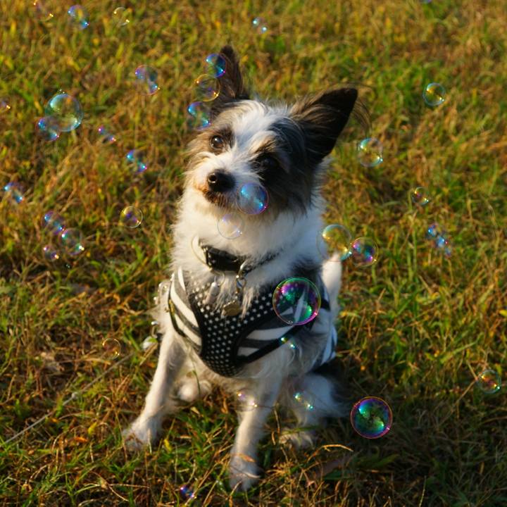 8d465ce7 6d5f 4056 bee2 ff6ac97d9eb7 1572165253266