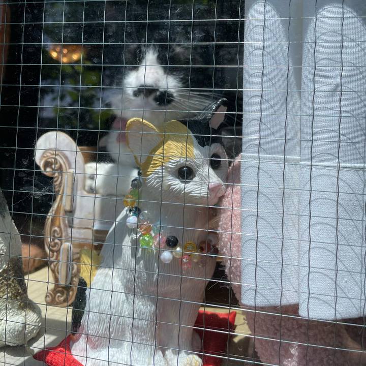 8d466e9c 82eb 4097 9606 c2836ae05f9c 1746962868693