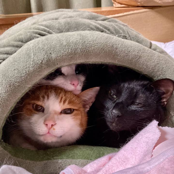 8d467630 5eaf 4f08 ad07 0f9fa779fb40 1708817229066