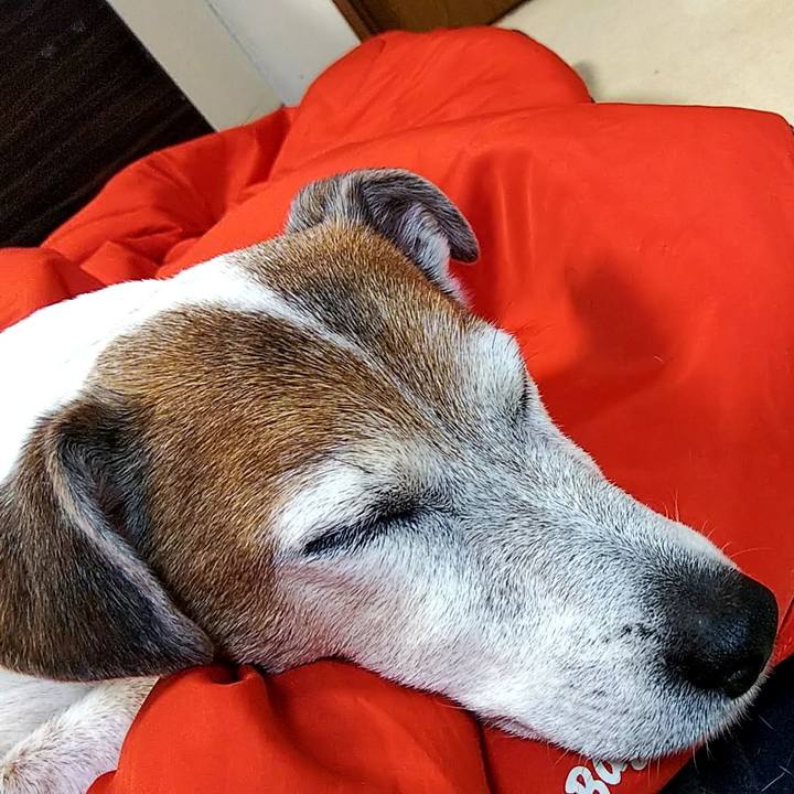 8d468aa3 e411 4fe0 8d3b f000368bffac 1549195918163