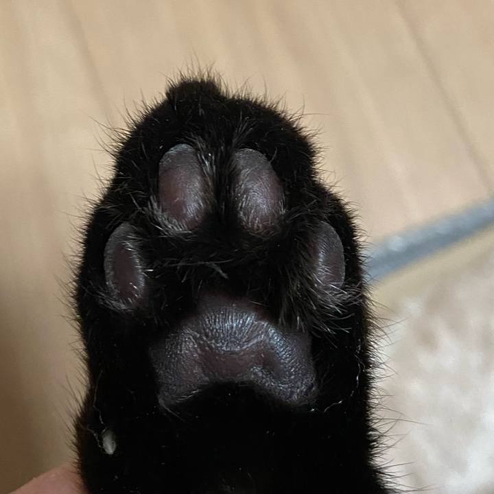 8d468abc b8ed 4416 88d4 9ec788347a86 1635939163637