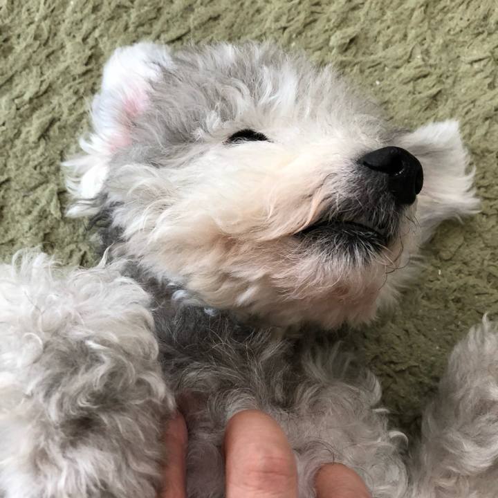 8d46b75a bc98 472a 8703 154a395322af 1716180570264