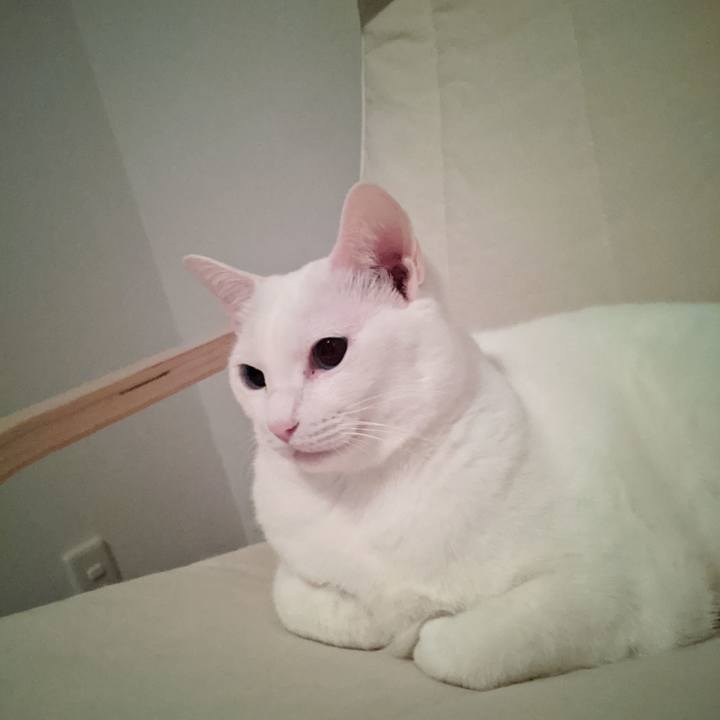 8d46b91d 2265 4b55 b395 c0f611149428 1586721630037