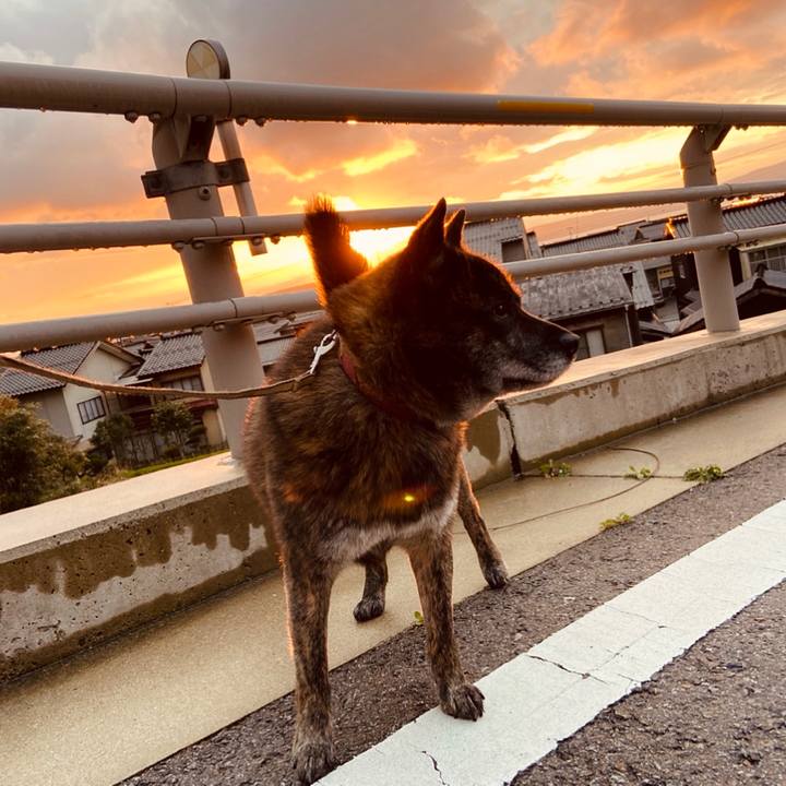 8d46bcdb 3e29 4f2f 88a5 eaa13729a3e6 1587723827289