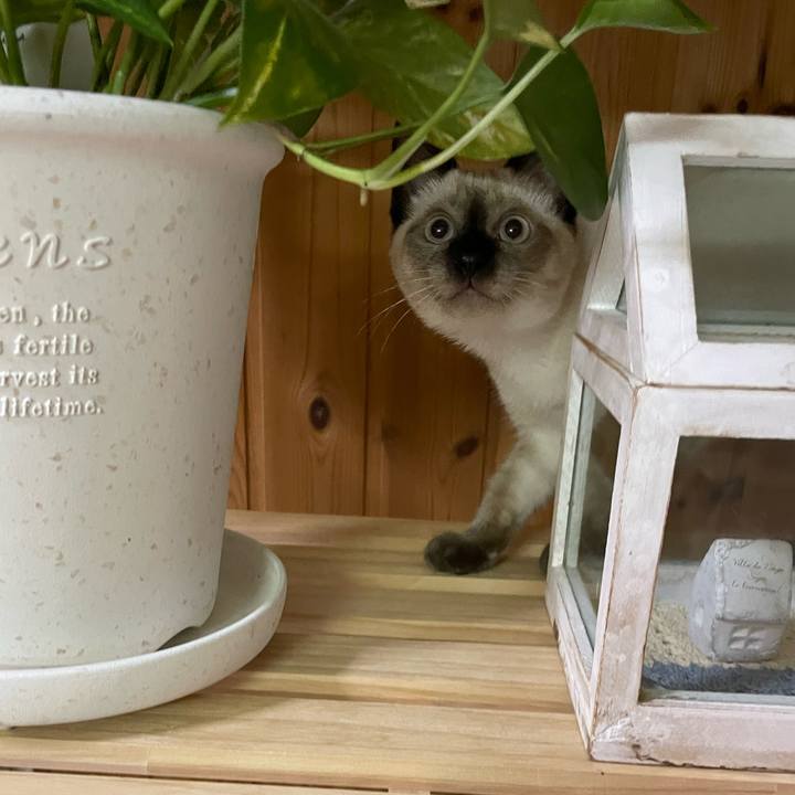 8d46db4a 78fa 40eb b461 efa65992ecd8 1692302444818