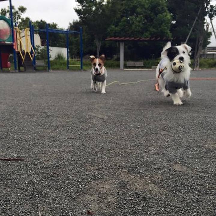 8d46e923 fc72 4732 9b55 f69f665508c1 1566258010451