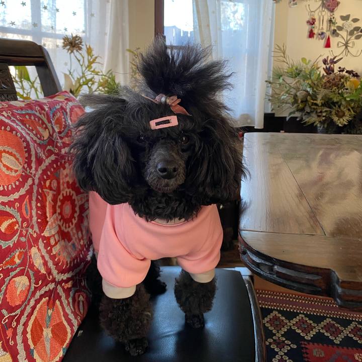 8d46ef81 3b8f 40f2 933f a1626a843f7a 1644975585462