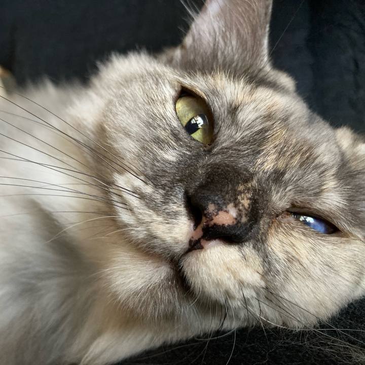 8d4709c4 e97e 4b08 8cc9 299537250468 1752808404283