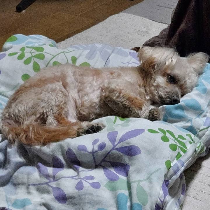 8d47275a 2371 47b9 8b4f 669840621a7a 1742632734251