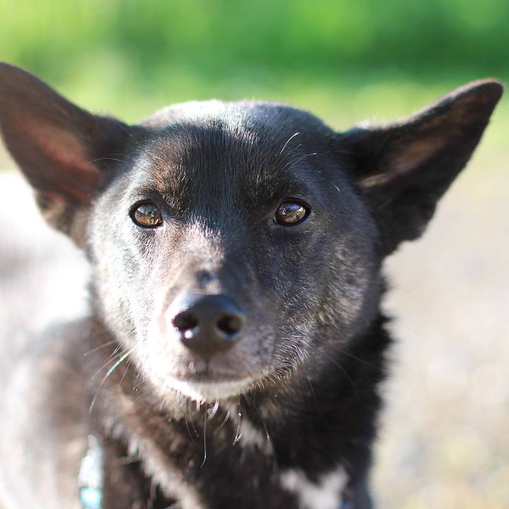 8d47a15a d988 478e 9e62 0484a1987fd4 1526341157075