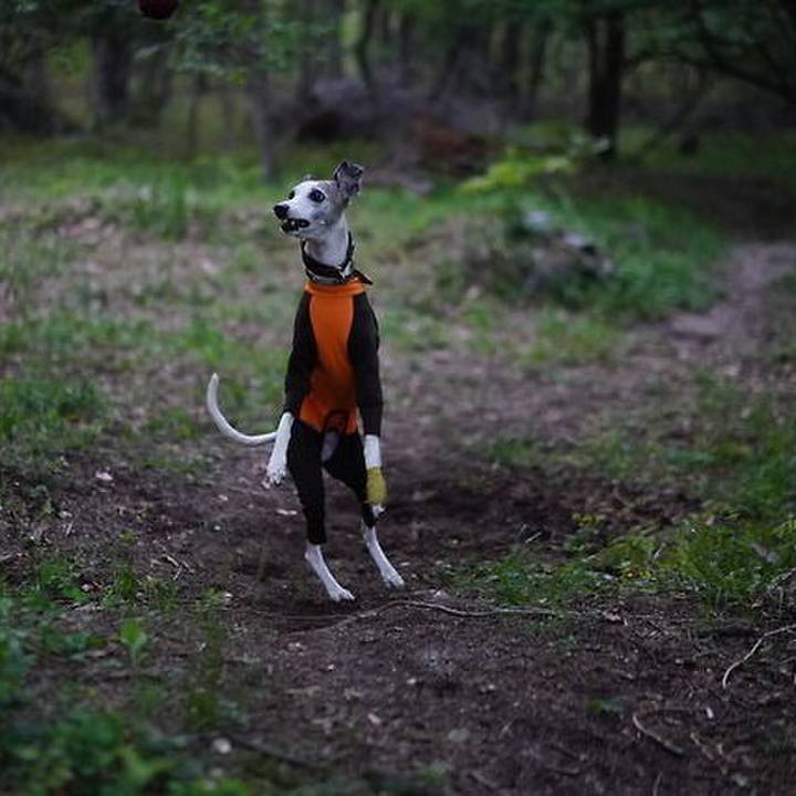 8d47ab78 5007 4d5a 93ac be958151eafe 1529236140539