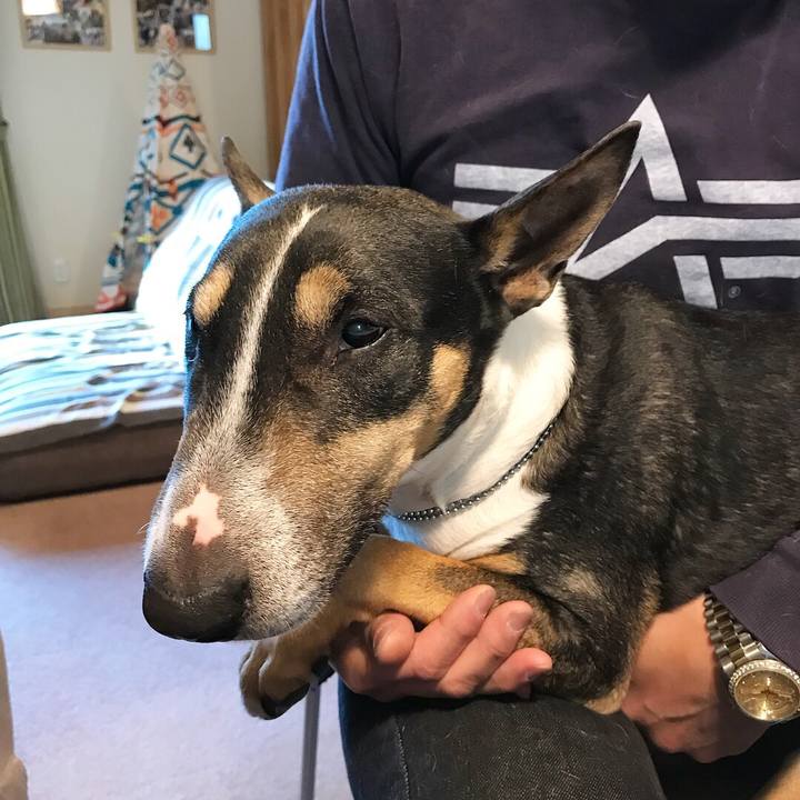 8d47ac18 8ebd 4322 b8c8 3cfc83307be7 1517040864065