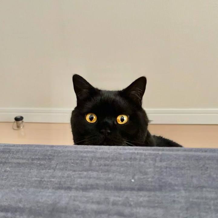 8d47c401 66f8 49c4 bae7 615f9cf6dc96 1621035261441