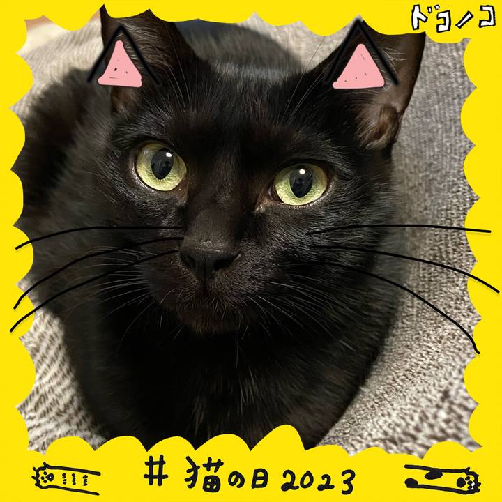 8d47d4de e45a 4df9 85d2 cb4c1d8965ff 1677064930501