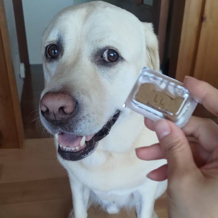 8d47e192 2510 47cf b3dc ffe41ba28b5f 1658373485334