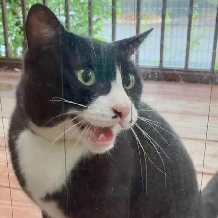 8d483f07 6641 4f58 b997 ec572f110772 1757671274755