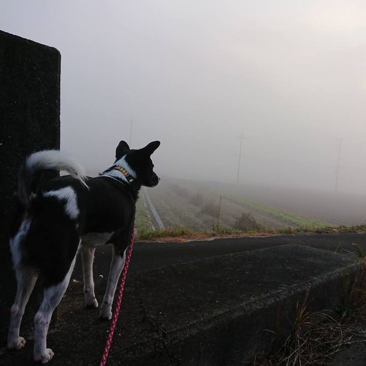 8d48408b ee8a 4e39 86df ad03b96659f8 1576107705414