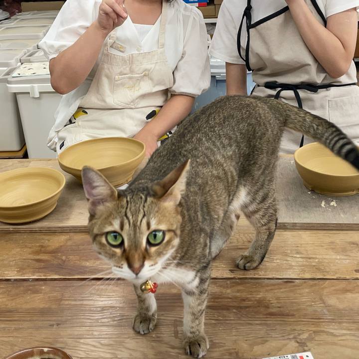 8d484a5c 6d3e 4767 90b0 ce84b1b66345 1692967147022