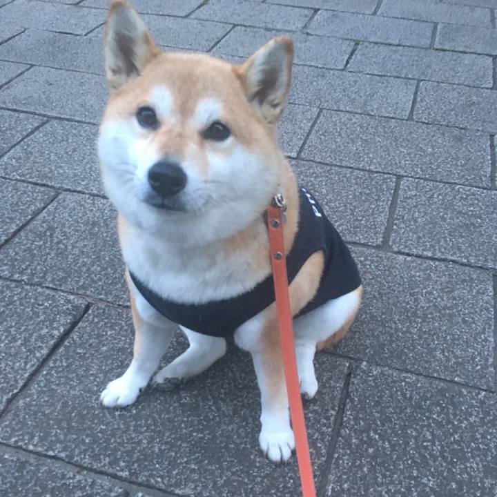 8d485880 7b26 4c92 9004 4f16c6771d68 1562670963652