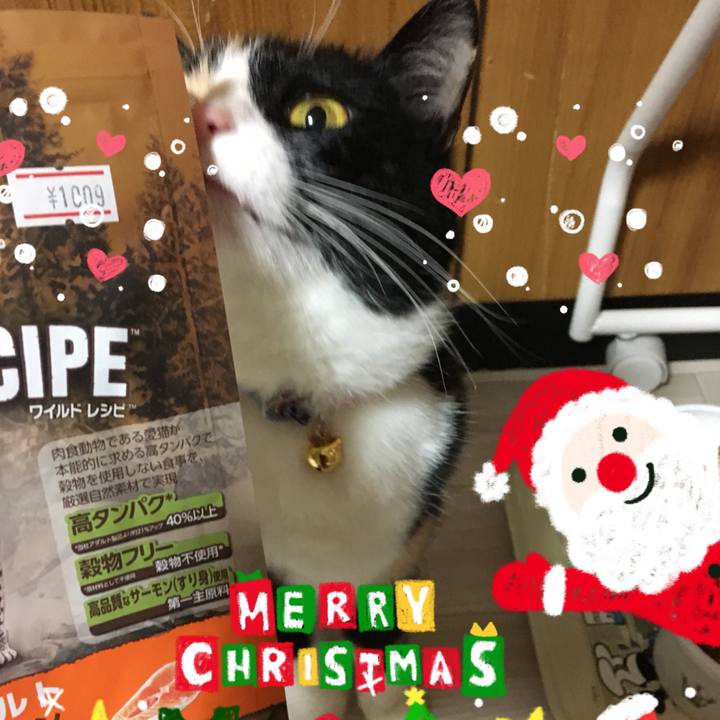 8d489901 0a99 46ed b36d d5562ec477a1 1514201505698