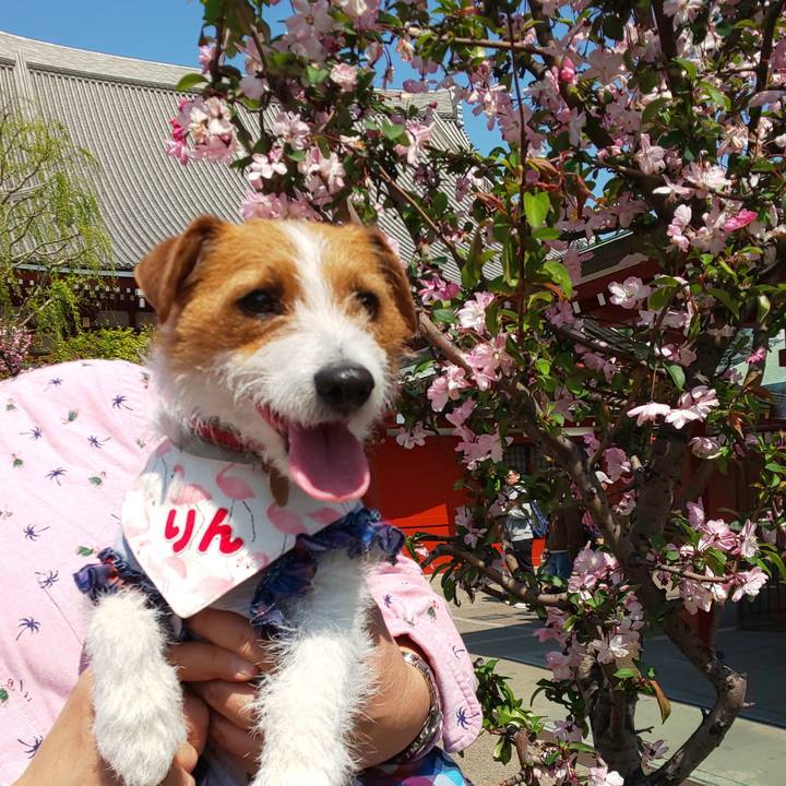 8d48a45c e5c6 4c6b afa3 371566501621 1554535656918