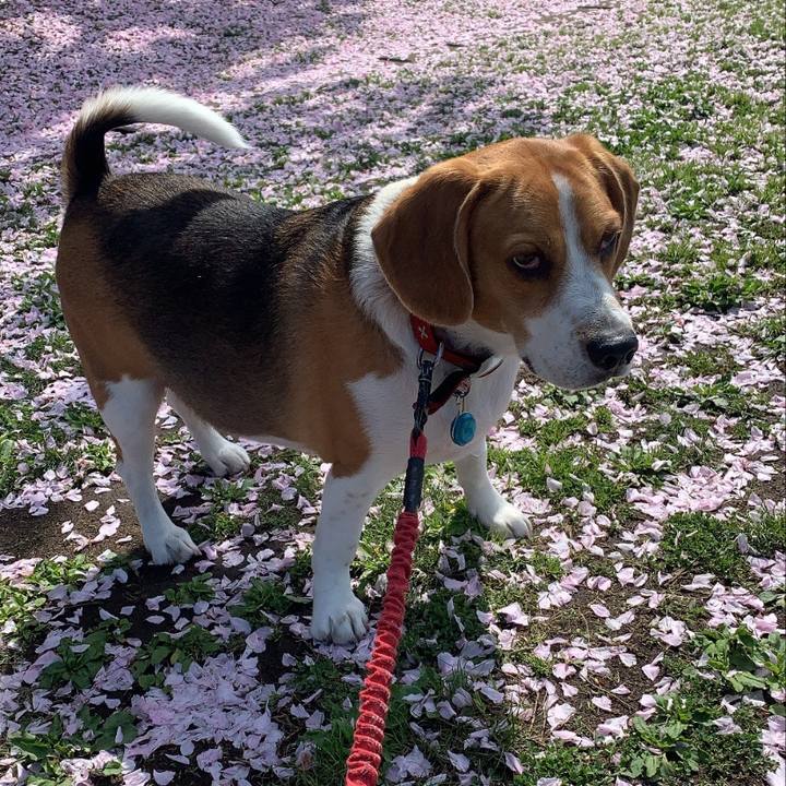 8d48c1f5 07d0 45e2 aeb2 203def7974d7 1618447286432