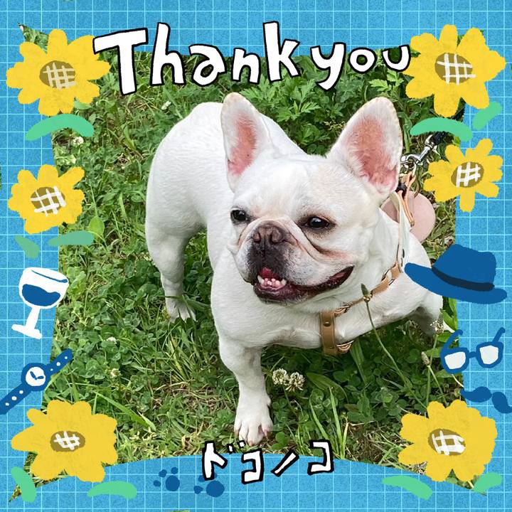 8d490838 a686 4556 b3c4 a87913250c06 1717663842403