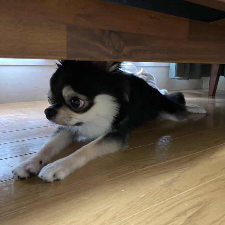 8d490f77 eb41 4a57 b99e a8f30e7b5db9 1630729394431