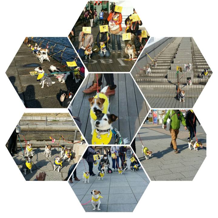 8d49215f d224 401a aa7c 51deae6d2ce1 1516543764566