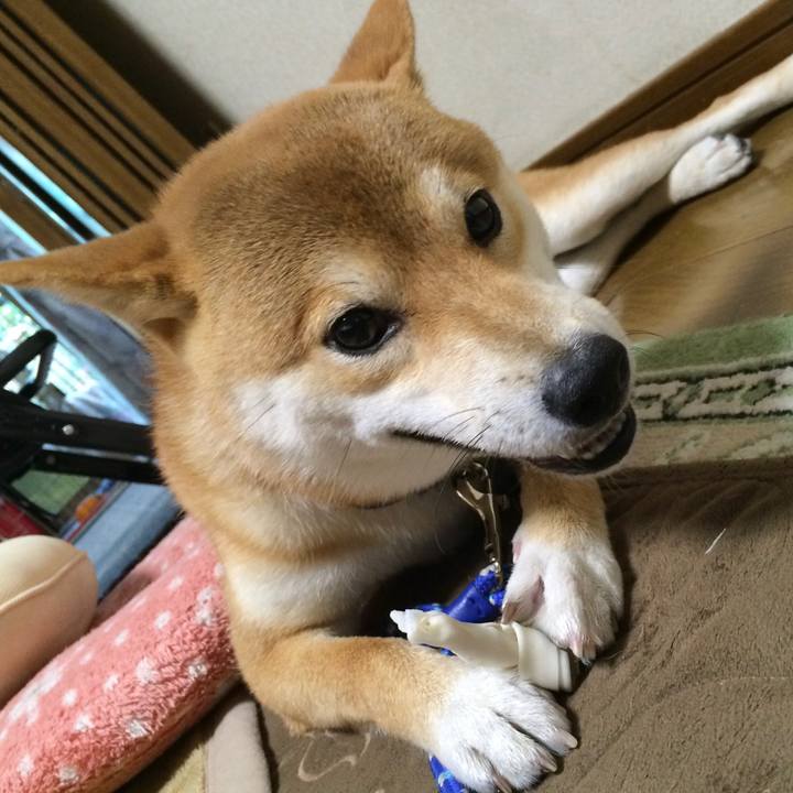 8d493986 e8cb 42a5 a19d 01b26b7e8c5d 1590915176693