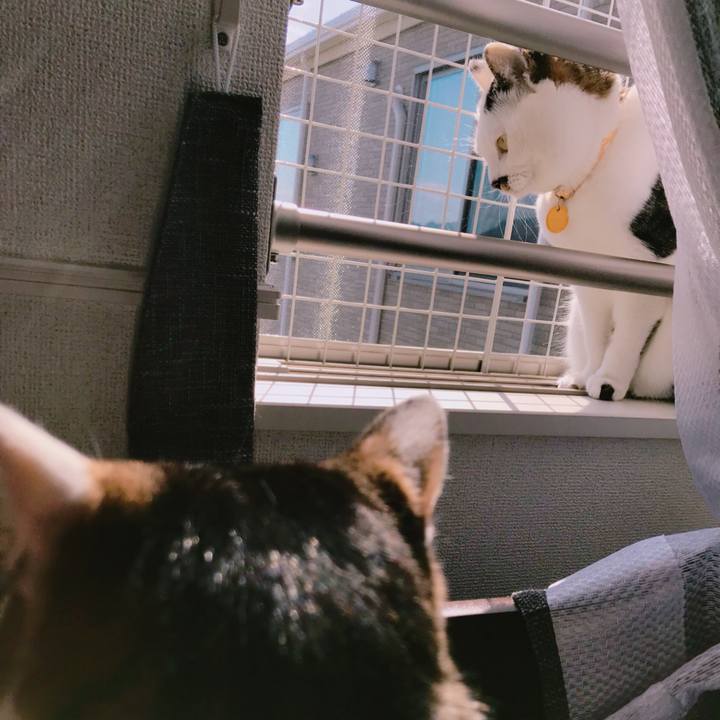 8d49473a 63dc 4e81 bda8 6d3747eea72a 1523594614688