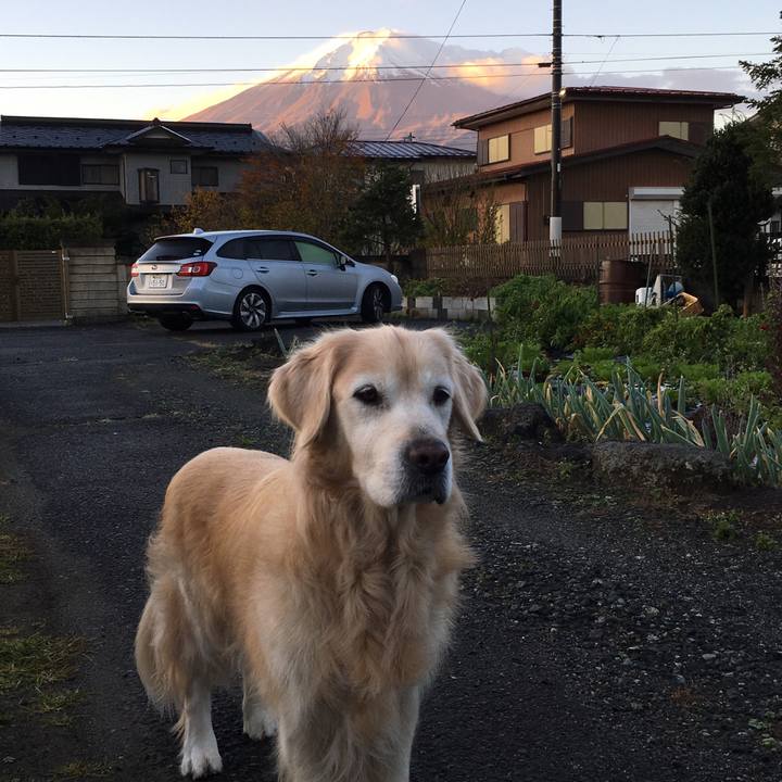 8d498a54 ad8f 4752 82e9 f4ea521c360d 1543641381993