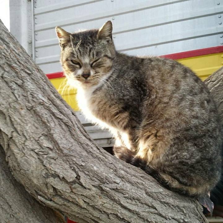 8d4a55fe f12c 4a36 83d8 b2ec90a26230 1517928168391